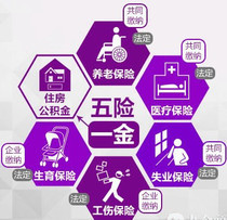信息咨詢服務的價格、批發與廠家指南